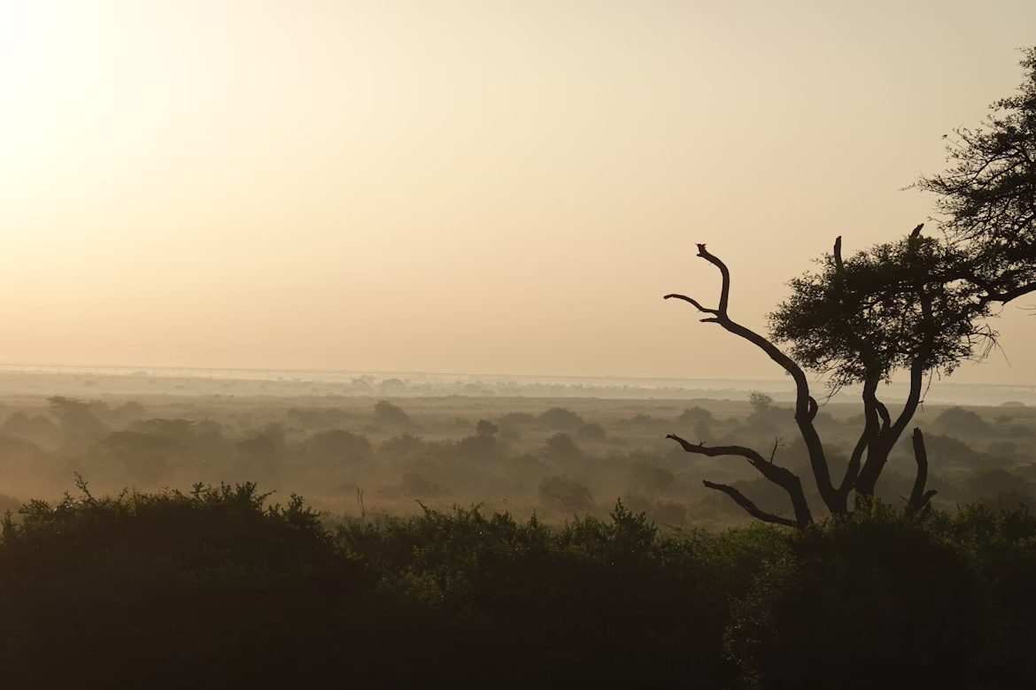 Shimba Hills destination image